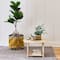Hello Honey® 26" Bohemian Wood Coffee Table with Woven Cane Sides